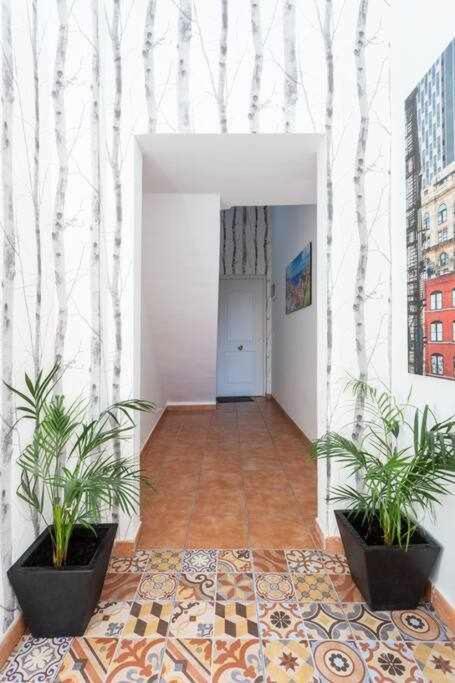 Sunnyland Teresitas 2 Apartment San Andres  Exterior photo